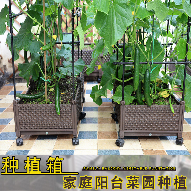 种植箱种菜盆花盆爬藤架黄t瓜盆花园藤架楼顶菜园蔬菜阳台种菜架