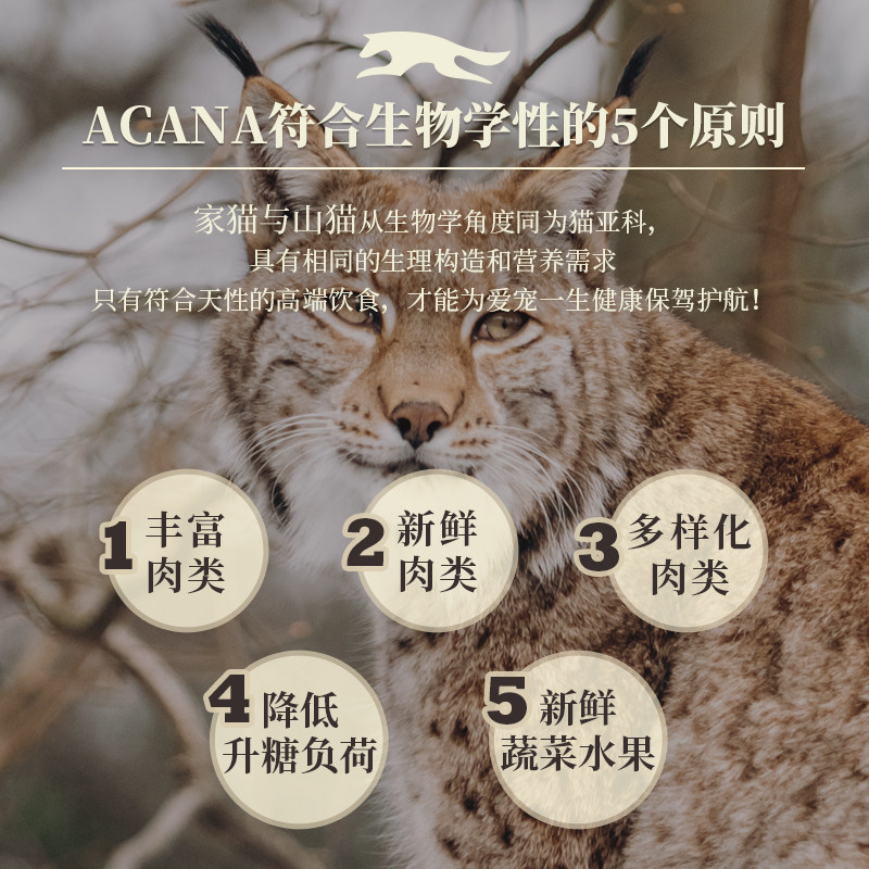 【美版】爱肯拿h农场美版盛宴全猫粮5.4KG高蛋白幼猫成猫通用ACAN高性价比高么？