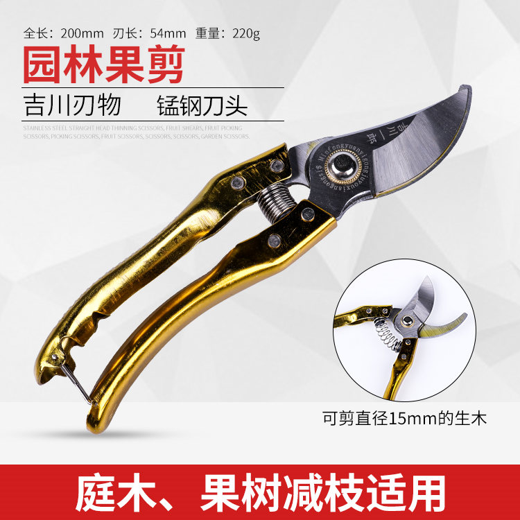 现货剪枝剪修f枝剪果树锋利园林园艺剪刀手剪桑剪摘果剪刀剪子采