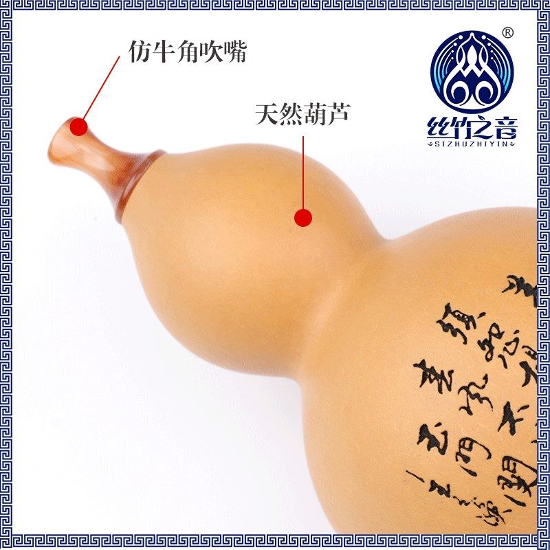 葫芦丝C调黑檀木竹节镶孔推拉杆葫芦丝成人演奏云南民族乐器
