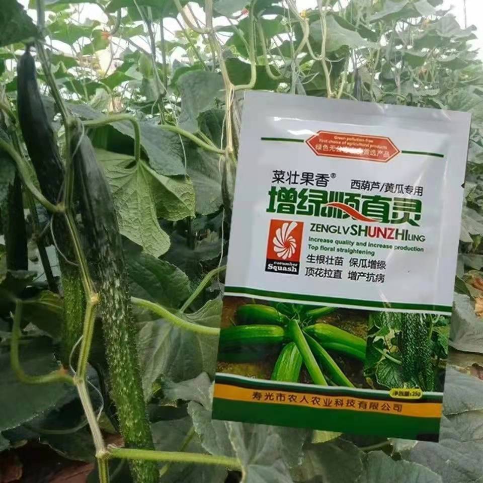速发增绿顺直灵 西葫芦黄瓜专用增绿顶花拉直增产抗病保瓜喷施 叶