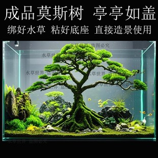 成品莫斯树 亭亭如盖大树冠 鱼缸造景沉木树 水草树 直接造景使用