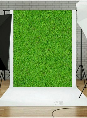 6x10ft Vinyl Pure White Wall Photography Background Green Gr