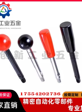 固定握柄把手LRGN6/8/10/12-63/80/100/125/160/200-R/B