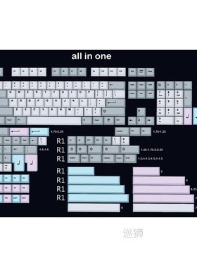 muted colorway 169 Cherry profile Dye Sub Keycap Set thick P