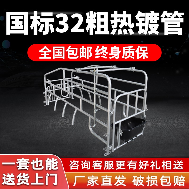 热销落地式产床产保两用床热镀管定限位栏单双体保育床养猪场设备