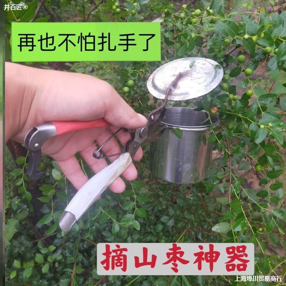工厂销不锈e钢摘酸枣新型摘山枣摘果器摘柏籽连翘采摘器不扎手