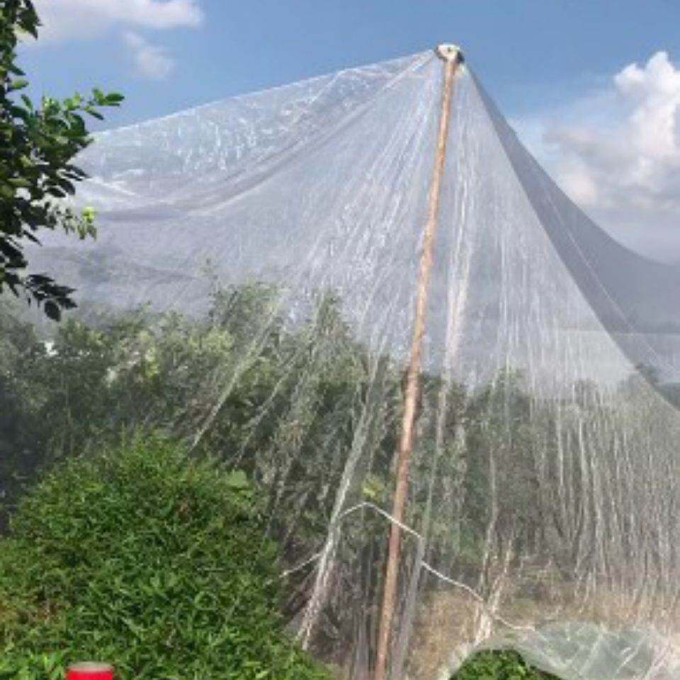 防虫网大棚果树罩农用蔬菜种植养猪网场防蚊蝇粉白虱抗老化纱窗网