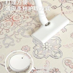Sunita地m毯客厅复古法式 新品 沙发卧室地垫家用免洗可擦轻奢高级