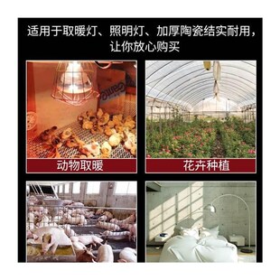 大棚增温灯泡动植物保温取暖加热烤灯菜棚采暖灯升温保暖灯罩专用