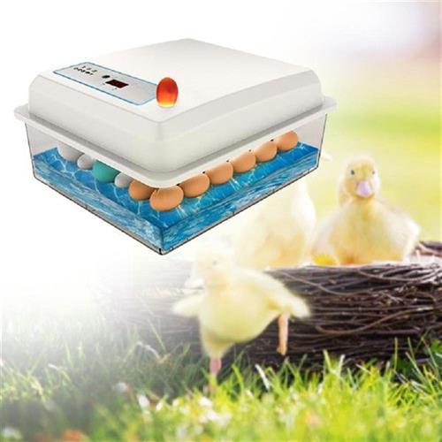 yEggs Incubahor Brooder Bxird Quail Chick Hatcter Automa