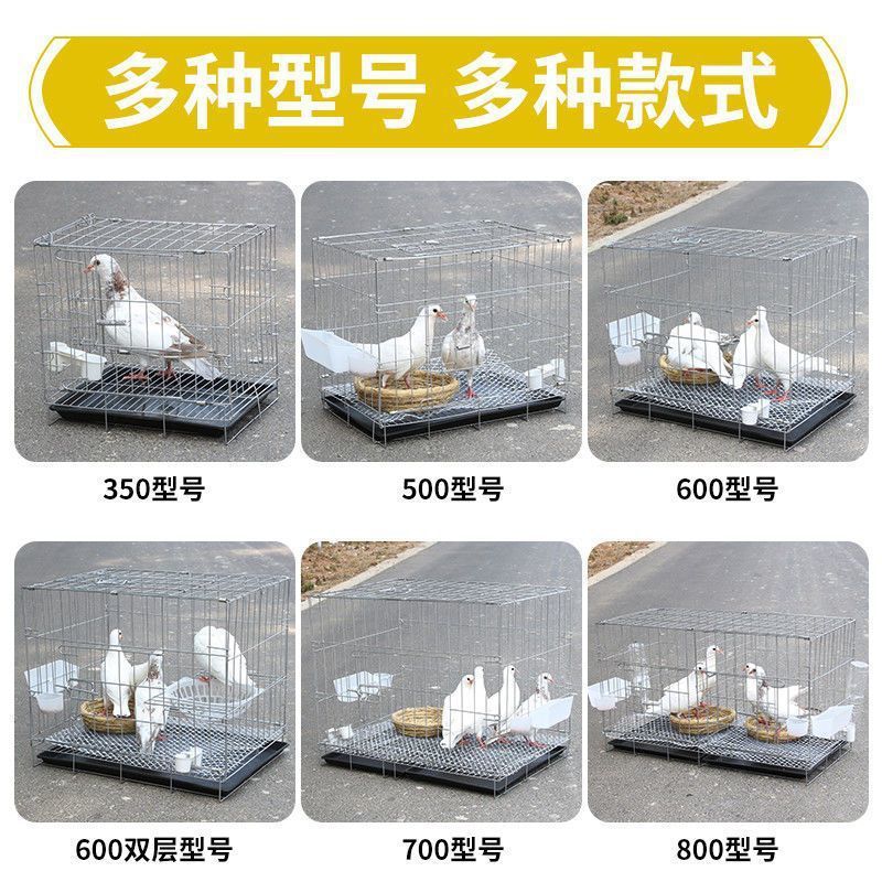鸽子笼鸽子笼子鸽子用品用具不锈钢色特大号鸽子养殖笼子配对笼