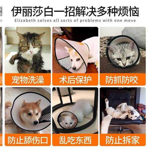 伊丽沙白哈士奇猫咪脖子防舔颈带金毛宠物项圈狗项圈脖颈脖套百搭