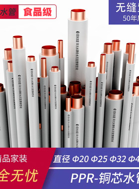 阳光ppr铜管塑料铜芯管材配件家装紫铜高端热熔铜塑管 自来水管