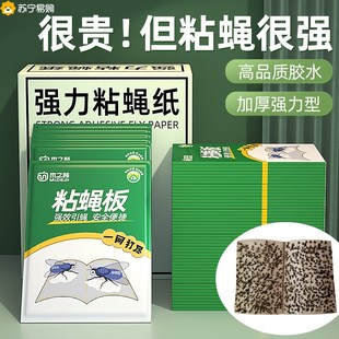 苍蝇贴粘苍蝇纸粘蝇板灭蝇蚊子克星捕捉器家用一扫光粉芽