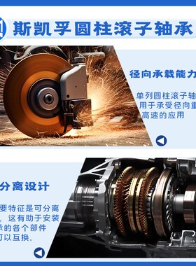 斯凯孚圆柱d滚子轴承 钢保 NJ 205  206 207 ECJ 更多型号联系客