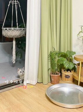 猫窝夏季冰凉宠物窝m夏天降温神器铝盆散热不粘毛睡觉网红猫咪凉