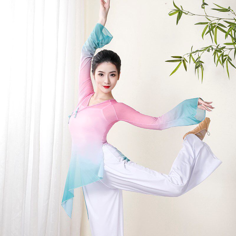 古风舞蹈服燕无歇爱莲说笑纳古典舞表演服女飘r逸渐变过渡身韵纱