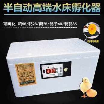 厂促新品智能孵化器小型家用孵化机全w自动智能鸡鸭鹅鸽蛋保温品
