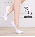 中国舞鞋 朝鲜舞鞋 成人女儿童软底舞蹈鞋 白色平底I练功鞋 室内芭蕾