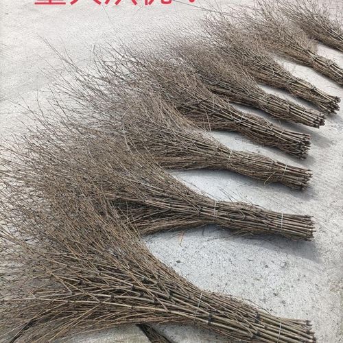 竹子大扫把环卫用金丝草铁扫帚草庭院保洁工厂棕条扫外围马路物业