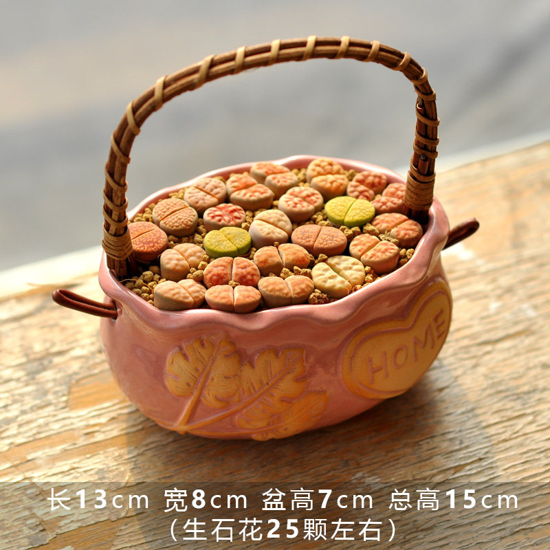 现货生石花多肉植物m带盆带土石头花桌面盆栽屁股花栽好石生花组