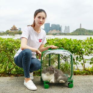 宠物包拉杆箱猫包外出便携行李箱狗狗外出背包透明太空.舱猫咪书