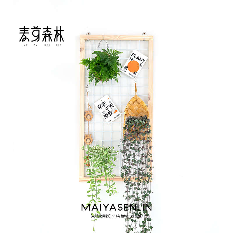 阳台网格花架爬藤支架置物架实木悬挂壁挂式幼儿园植物绿植挂墙