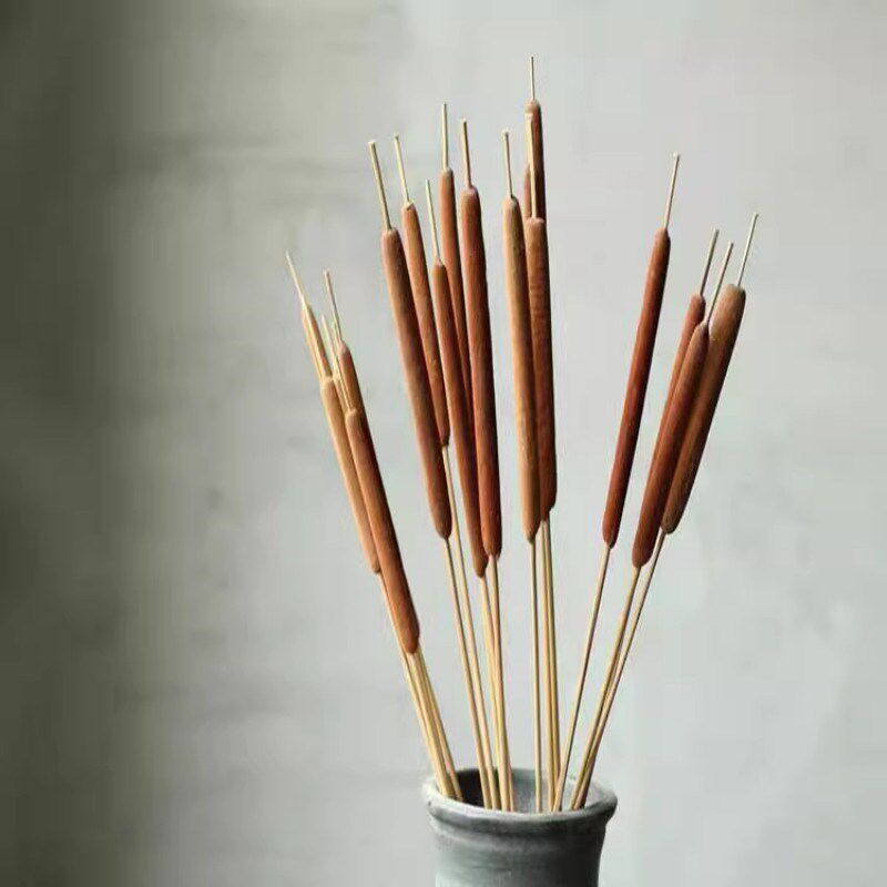 天然香蒲棒干花家居装饰摆件摄影道具水蜡烛风干植物干枝蒲绒安神