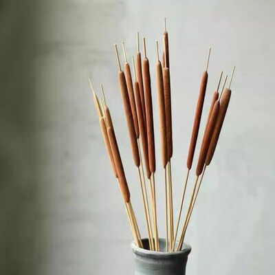 天然香蒲棒干花家居装饰摆件摄影道具水蜡烛风干植物干枝蒲绒安神