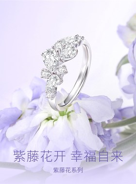 速发Fanci范琦银饰【紫藤花系列】G紫藤相惜戒指女小众设计送闺蜜