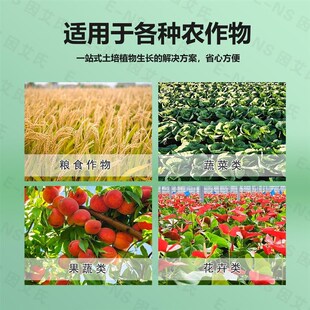 因艾氏B爆花挂果灵多开花开雌花增加座果率增产保花保果素营养节