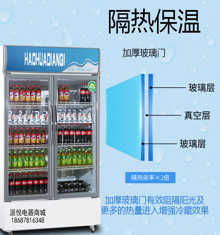 直销两门陈列展示柜冷藏超市冰柜商用冰箱双开门立式啤酒饮料柜保