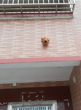 挂件墙挂中式陶瓷出水喷泉鱼头屋檐外墙屋顶排水口锦鲤鱼流水动物