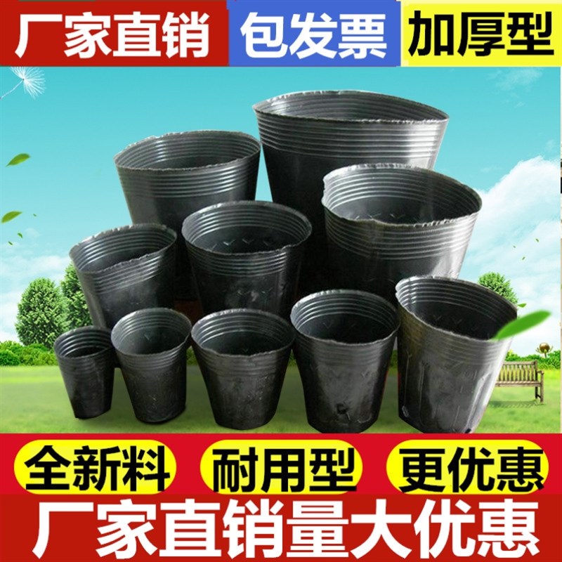 杯子苗子蔬菜茄子兰花花卉一次性育苗盒农用营养钵X培育盆栽大号