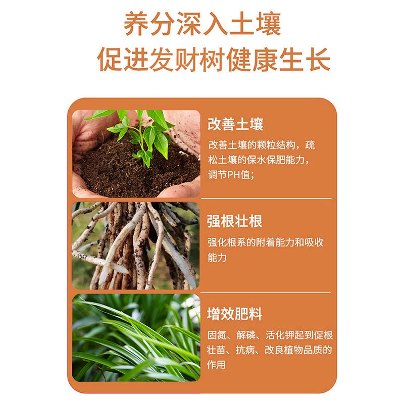 免稀释发栽树专用营养液r花肥料富贵竹花用绿植家用盆财通卉液体