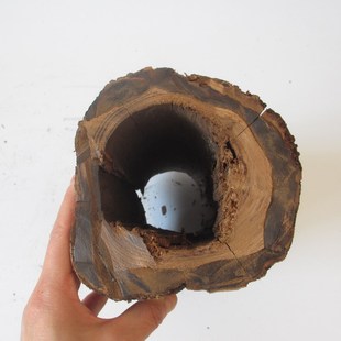 原木墩树桩树干拍摄道具手工园艺枯木装饰木摆件木底座自然风化木