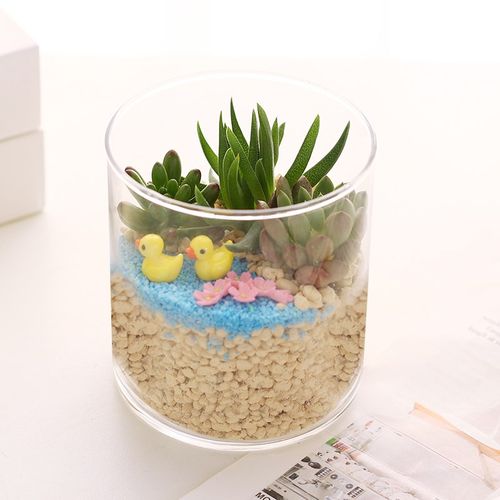 微景观圆口玻璃花瓶 盆栽 多肉DIY生态瓶 水晶玻璃家居饰品
