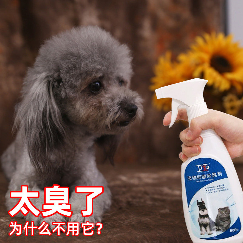 现货宠物去味消毒液除臭剂猫w咪狗狗环境室内抑菌消毒水去尿味喷