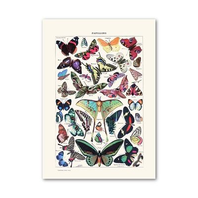 推荐Antique Butterfly Vintage Poster Prints Insect Kind Natu