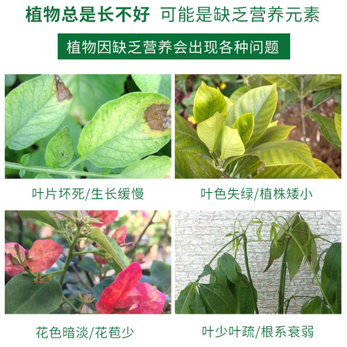 家庭阳台花肥绿植盆栽月季中微A量元素肥料钙镁硼锌铁通用型水溶