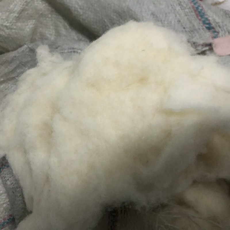 扎扎乐打底毛羊毛针毡湿毡羊毛原料手工戳戳乐公仔玩偶填充毛
