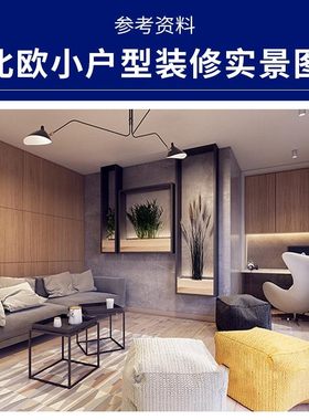 B002北欧小户型一居室单身公寓客厅卧室简约P清新家装修参考实景