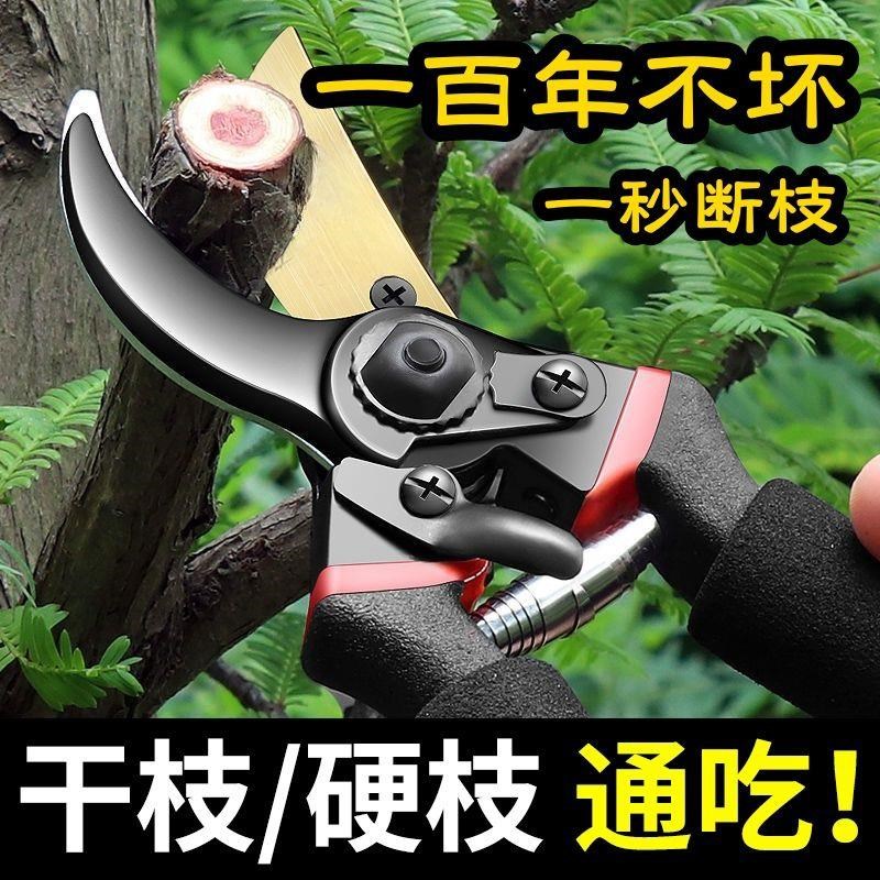 德国精工艺园剪刀剪树枝专用剪刀修枝剪园林果树修花家用sk5剪子