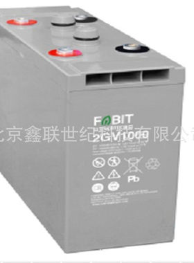 FABIT菲意特蓄电池FPX65/12V-65AH发电厂 化工