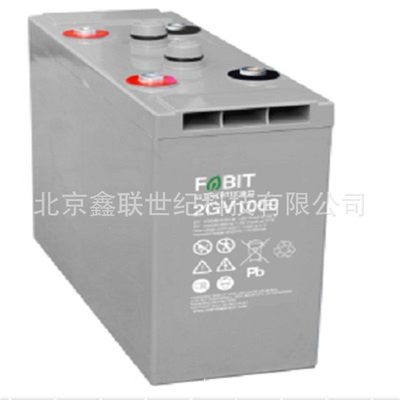 FABIT菲意特蓄电池FPX65/12V-65AH发电厂 化工