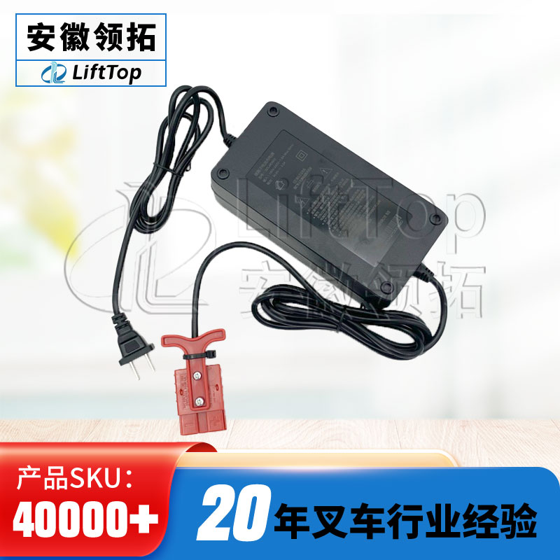 杭叉雷翼小金刚电动车充电器DZL482002(48V/3A)车载锂电池充电机