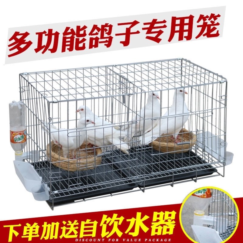 大号加粗鸽子用品用具12位16位养殖鸽子笼信鸽配对笼肉鸽繁殖笼子