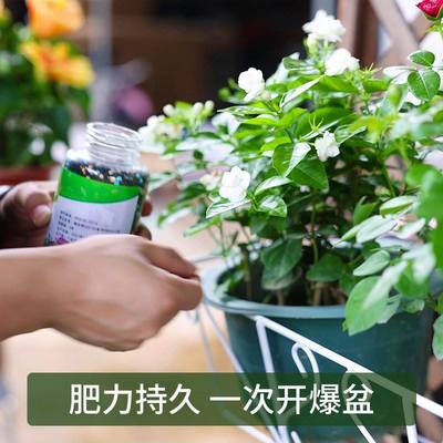 推荐艾尚棵营养液花卉绿植缓释颗粒控释肥颗粒肥通用型花肥料盆栽