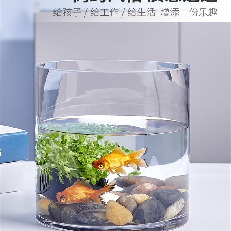 圆柱形鱼缸圆形白玻璃鱼缸立体小型直筒鱼缸家用客厅落地缸